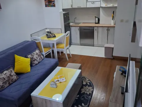 Izdavanje, stan, 30m², Stara Varoš, Podgorica - image 1