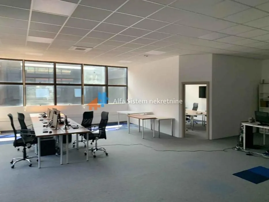 Izdavanje, poslovni prostor, 230m², Novi Beograd Sve Podlokacije, Beograd