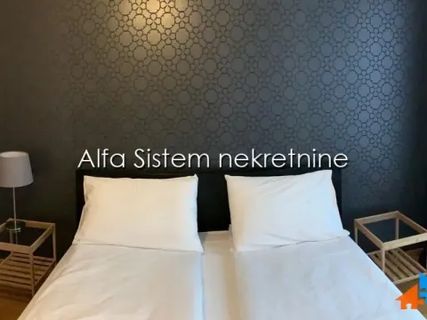 Izdavanje, dvosoban stan, 54m², Vračar Centar, Vračar Sve Podlokacije - image 5