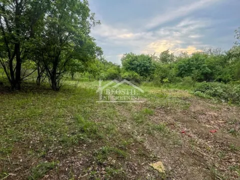 Sale, land lot, 2400m², Grocka, Beograd - image 2
