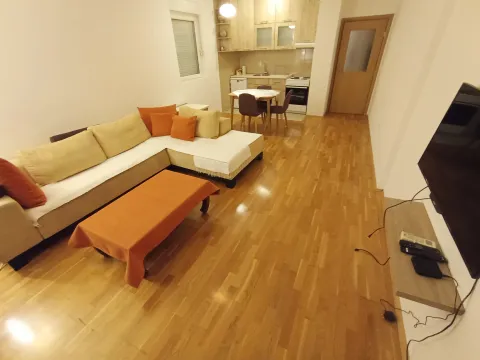 Rent, one bedroom apartment, 51m², Ljubović, Podgorica - image 12