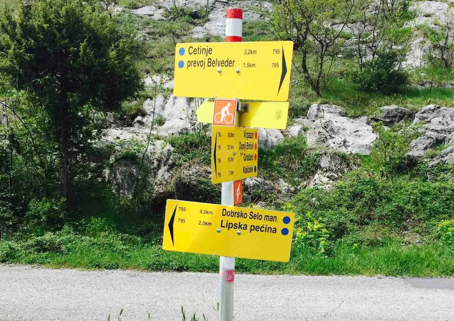 Prodaja, plac, 10000m², Cetinje, Crna Gora