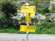 Prodaja, plac, 10000m², Cetinje, Crna Gora - image 3