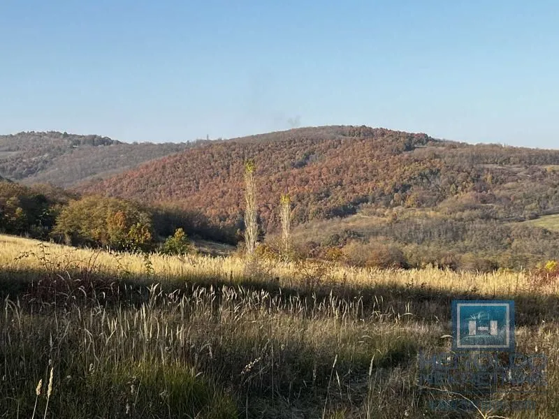 Prodaja, kuća, 20m², Lozovik, Jagodina