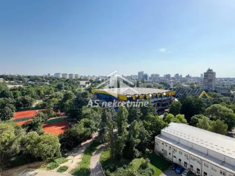 Izdavanje, jednosoban stan, 36m², Hala Pionir, Palilula Sve Podlokacije - image 6