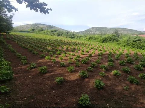 Prodaja, plac, 1388m², Niš, Srbija - image 5