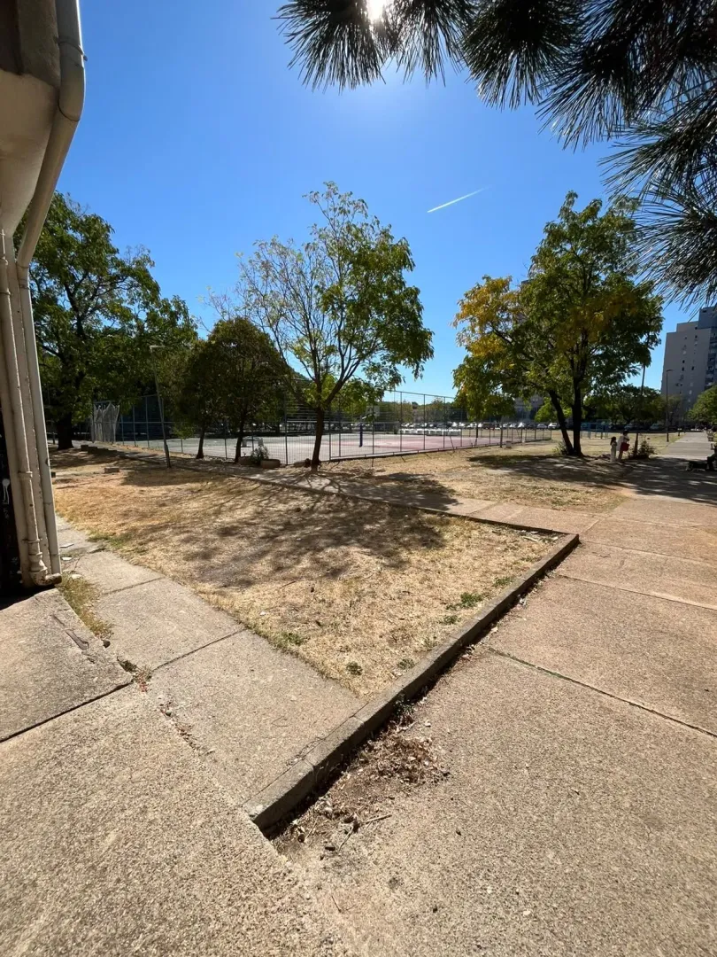 View of the landscaped courtyard with a sports field and trees.