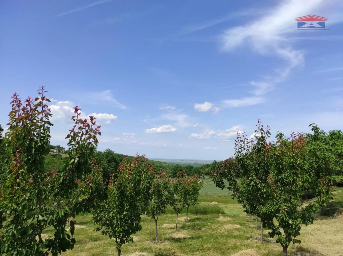 Prodaja, kuća, 59m², Inđija, Srbija