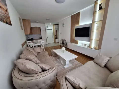 Izdavanje, jednosoban stan, 50m², Stari Aerodrom, Podgorica - image 12