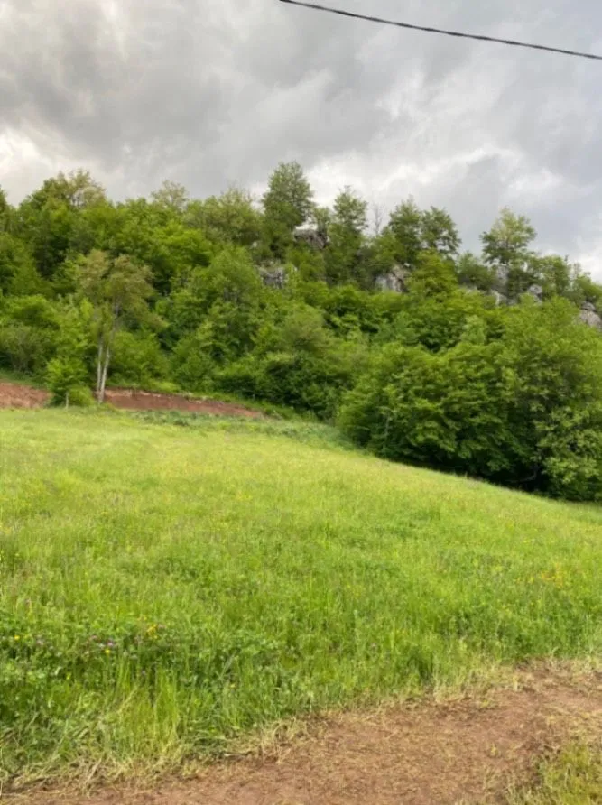 Prodaja, plac, 1728m², Moračko Trebaljevo, Kolašin