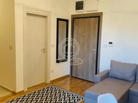 Rent, two bedroom apartment, 44m², Palilula Sve Podlokacije, Beograd - image 9