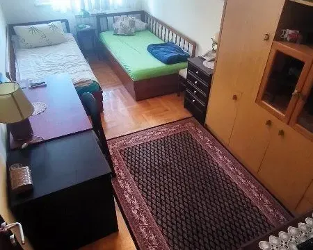 Rent, two bedroom apartment, 53m², Lion, Zvezdara Sve Podlokacije - image 4