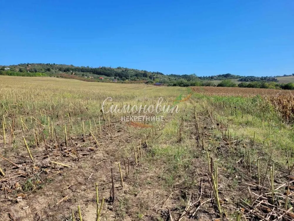 Prodaja, plac, 15000m², Ritopek, Grocka