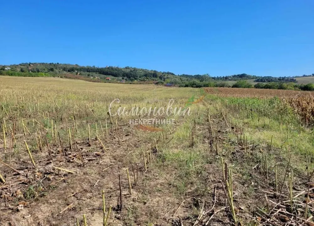 Prodaja, plac, 15000m², Ritopek, Grocka