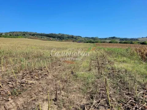 Prodaja, plac, 15000m², Ritopek, Grocka