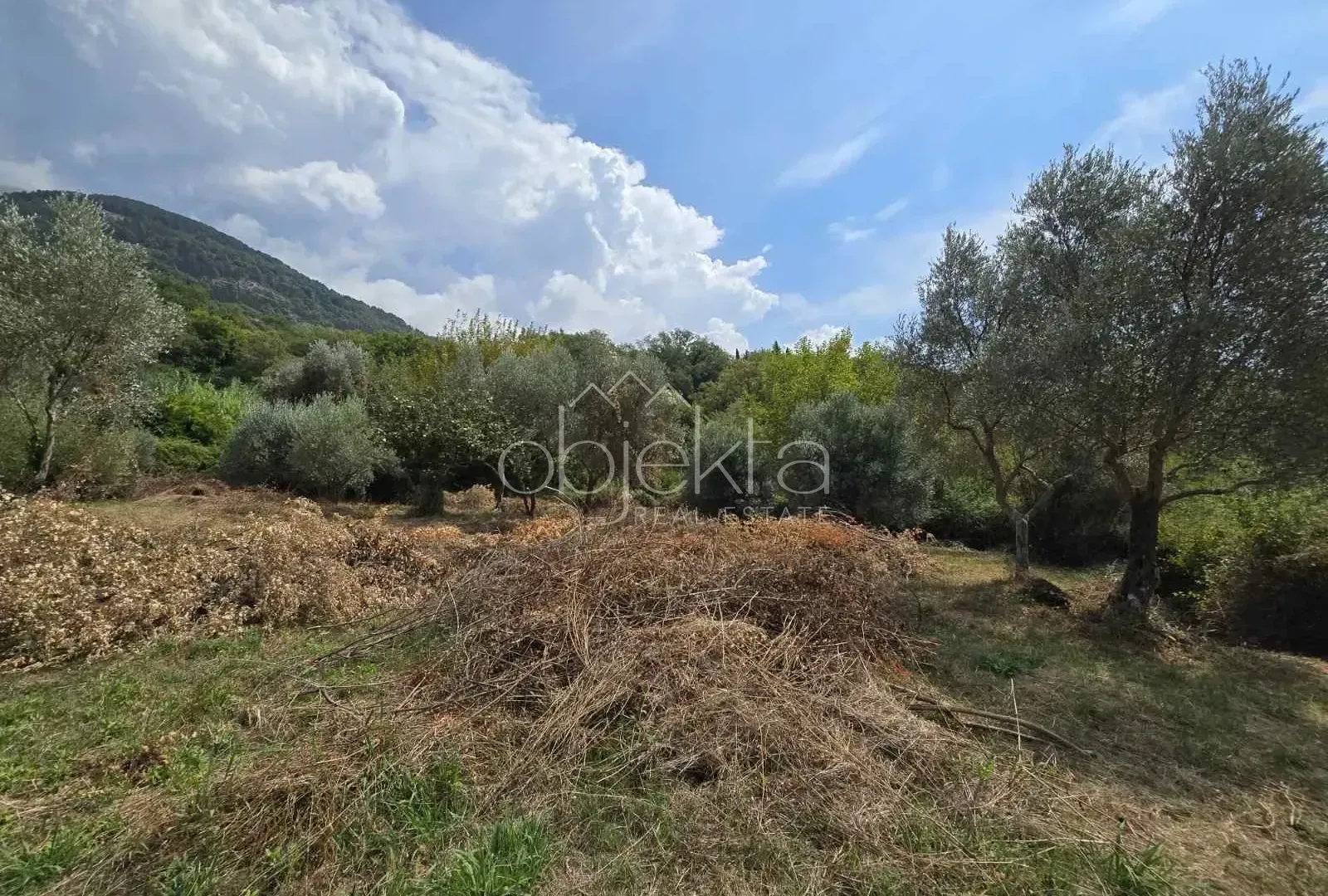 Prodaja, plac, 3209m², Kotor, Crna Gora