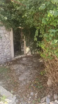 Zarasli kameni eksterijer i ulaz u staru ruševnu građevinu. - image 5