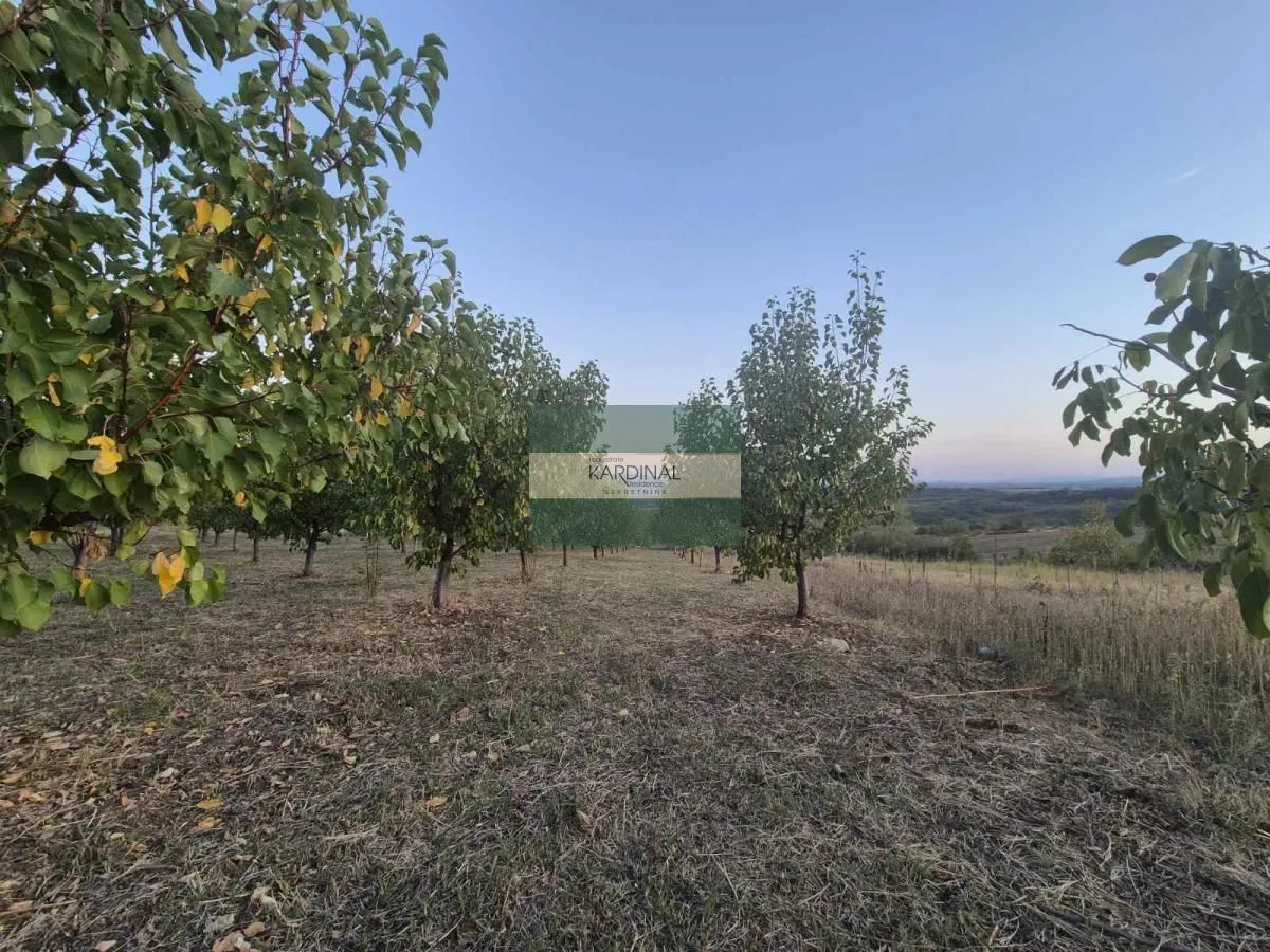 Prodaja, plac, 27920m², Siokovac, Jagodina