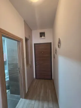 Rent, one bedroom apartment, 50m², Ljubović, Podgorica - image 9