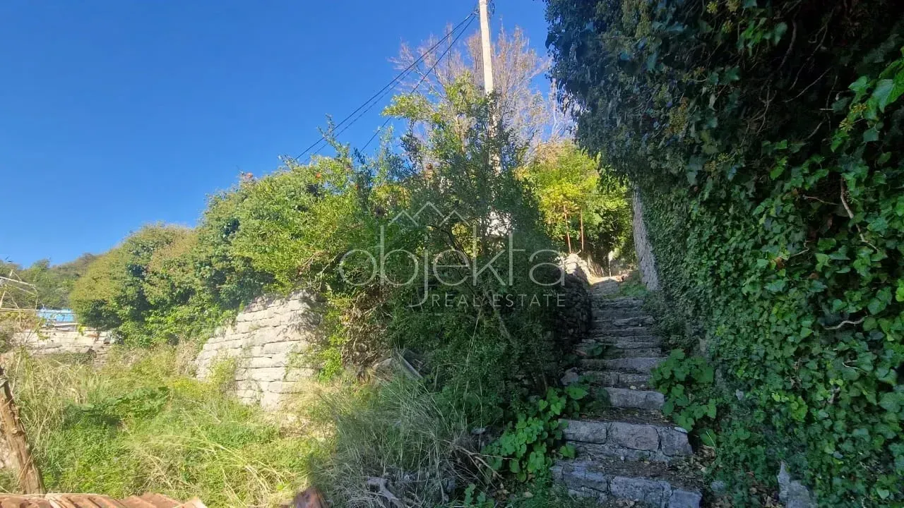 Kamene stepenice okružene zelenilom i drvećem u dvorištu nekretnine.