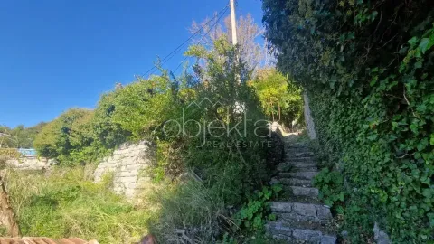 Kamene stepenice okružene zelenilom i drvećem u dvorištu nekretnine. - image 6