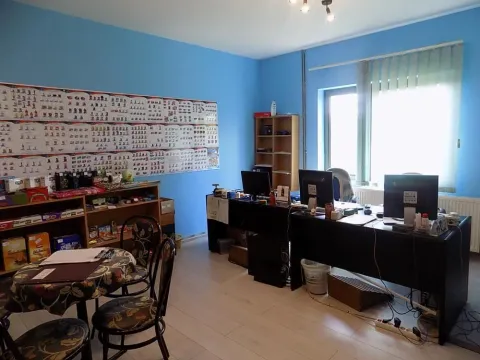 Izdavanje, poslovni prostor, 2000m², 7. juli, Paraćin - image 9