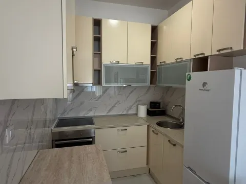 Izdavanje, jednosoban stan, 47m², Zagorič, Podgorica - image 8