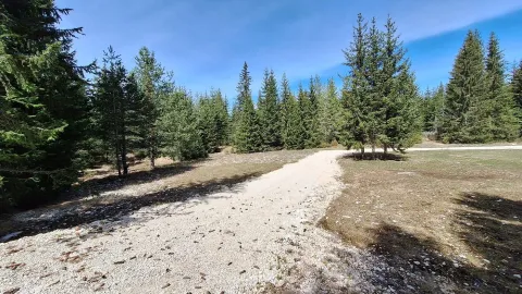 Prodaja, plac, 6750m², Podgora, Žabljak - image 3