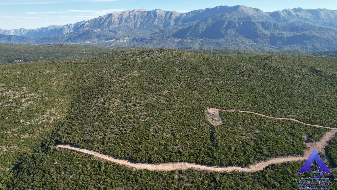 Prodaja, plac, 18487m², Zagora, Kotor