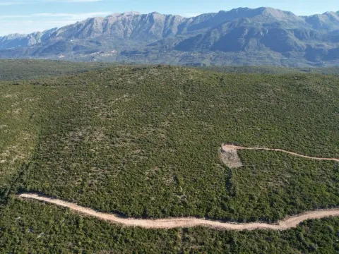 Sale, land lot, 18487m², Zagora, Kotor - image 5