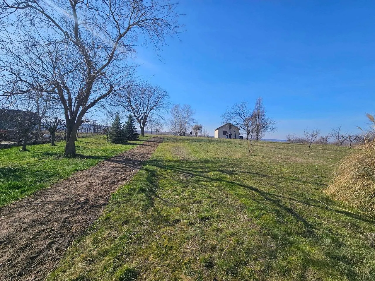 Prodaja, plac, 2106m², Banoštor, Beočin