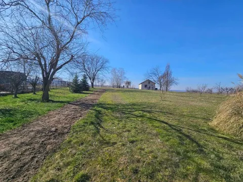 Prodaja, plac, 2106m², Banoštor, Beočin - image 5