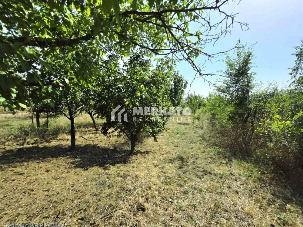 Prodaja, plac, 3100m², Bagljaš, Zrenjanin