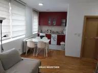 Izdavanje, jednosoban stan, 32m², Stari Grad, Beograd - image 11
