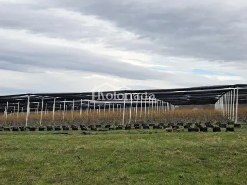 Prodaja, plac, 14500m², Sopot, Beograd - image 6