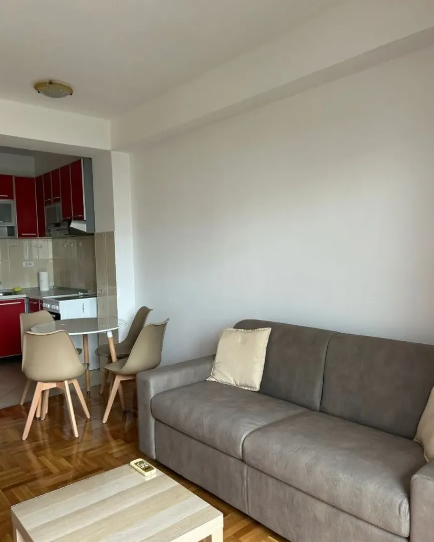 Izdavanje, jednosoban stan, 43m², Preko Morače, Podgorica