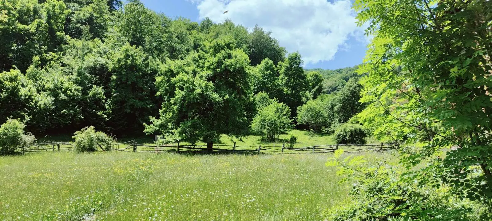 Prodaja, plac, 40000m², Andrijevica, Crna Gora