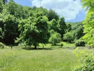 Sale, land lot, 40000m², Andrijevica, Crna Gora - image 4