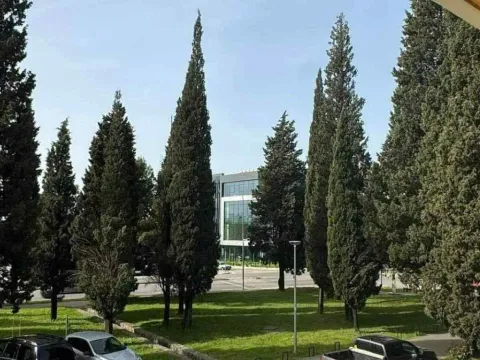 Izdavanje, jednosoban stan, 60m², Podgorica, Crna Gora - image 3