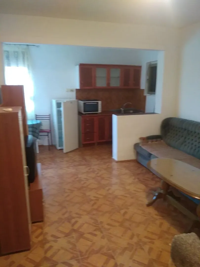 Dnevna soba spojena sa kuhinjom u funkcionalnom stanu.