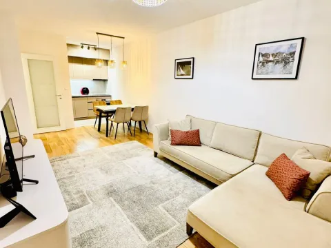 Rent, one bedroom apartment, 48m², Central Point, Podgorica - image 1