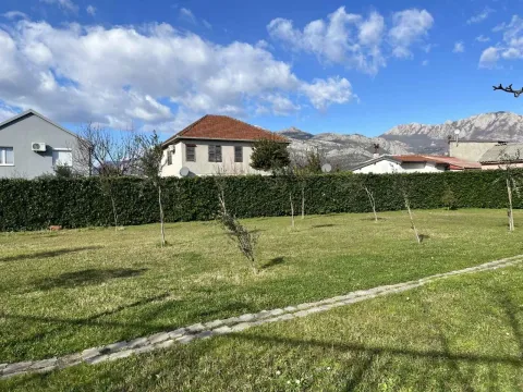 Prostrano travnato dvorište sa mladim stablima i kućama u pozadini. - image 5