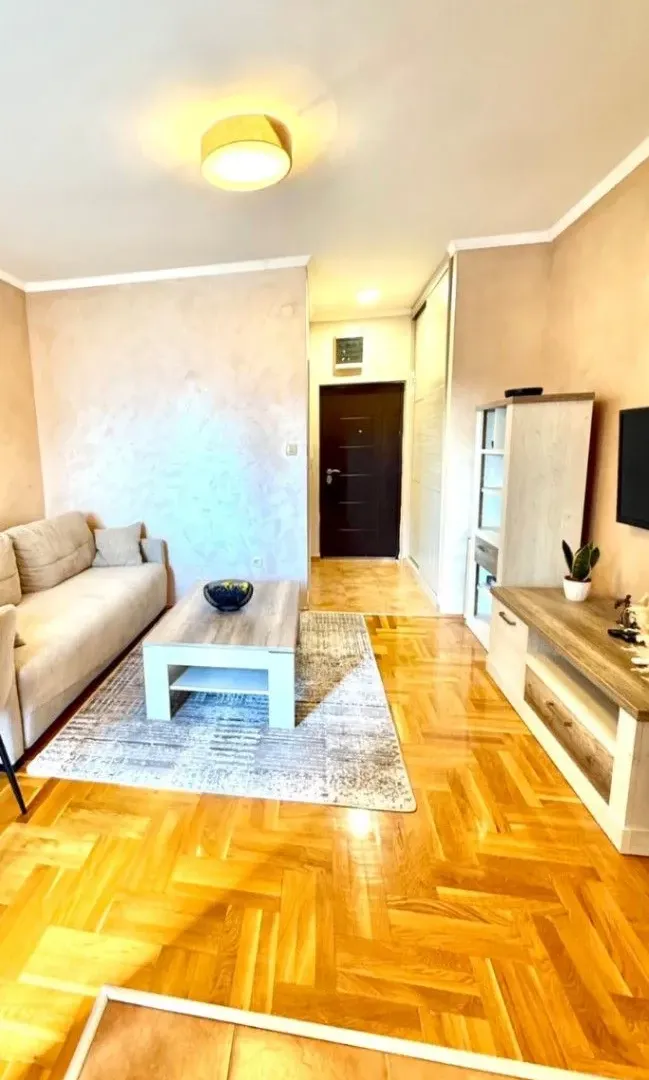 Izdavanje, garsonjera, 30m², Tuški Put, Podgorica