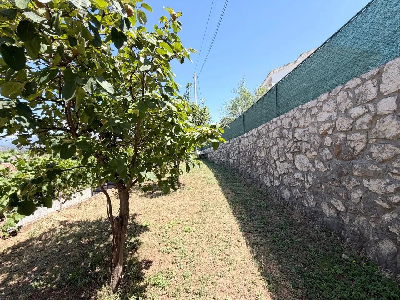 Rent, house, 256m², Masline, Podgorica