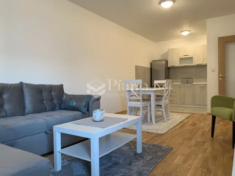 Rent, one bedroom apartment, 48m², Stari Aerodrom, Podgorica - image 5