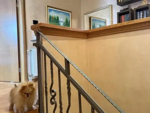 Prodaja, četvorosoban stan, 106m², Grbavica, Novi Sad Sve Podlokacije - image 8