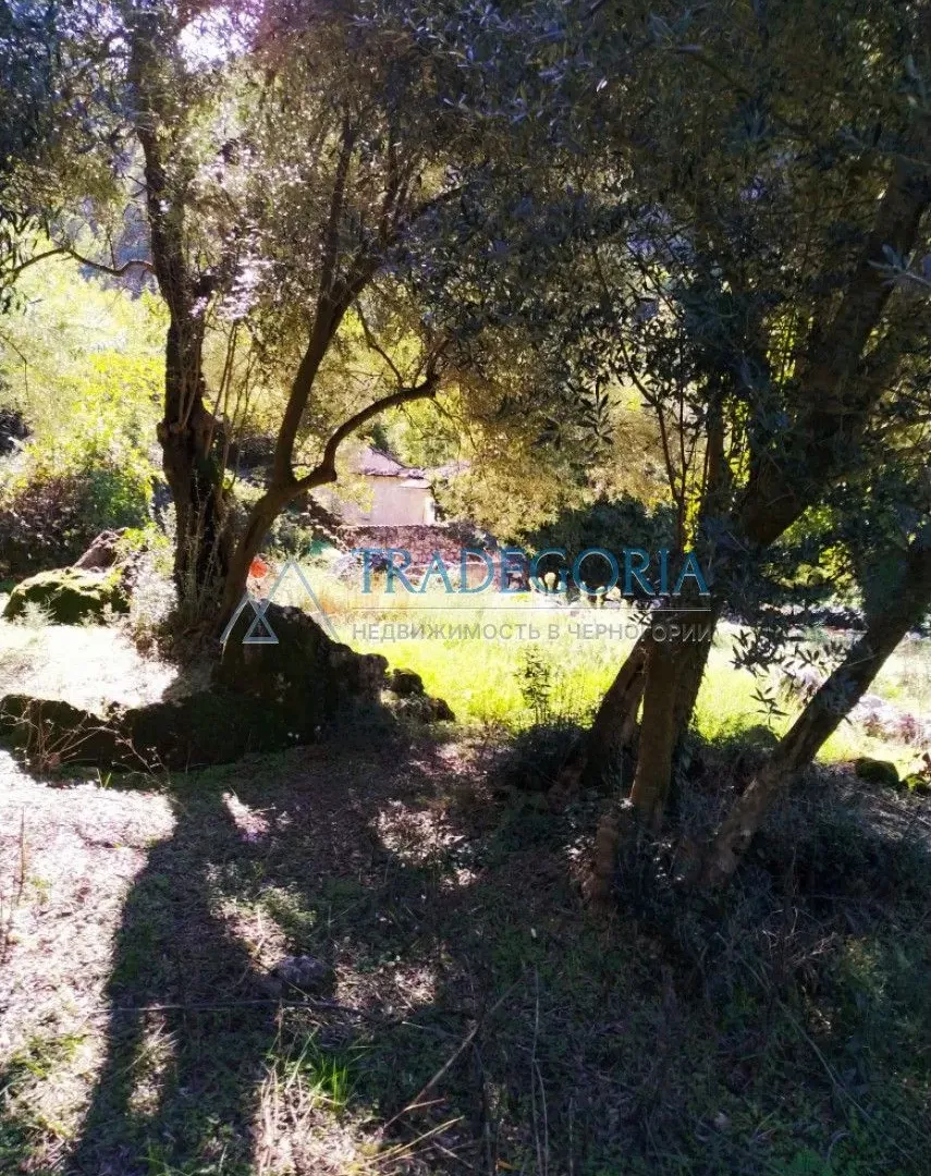 Prodaja, kuća, 210m², Podgorica, Crna Gora