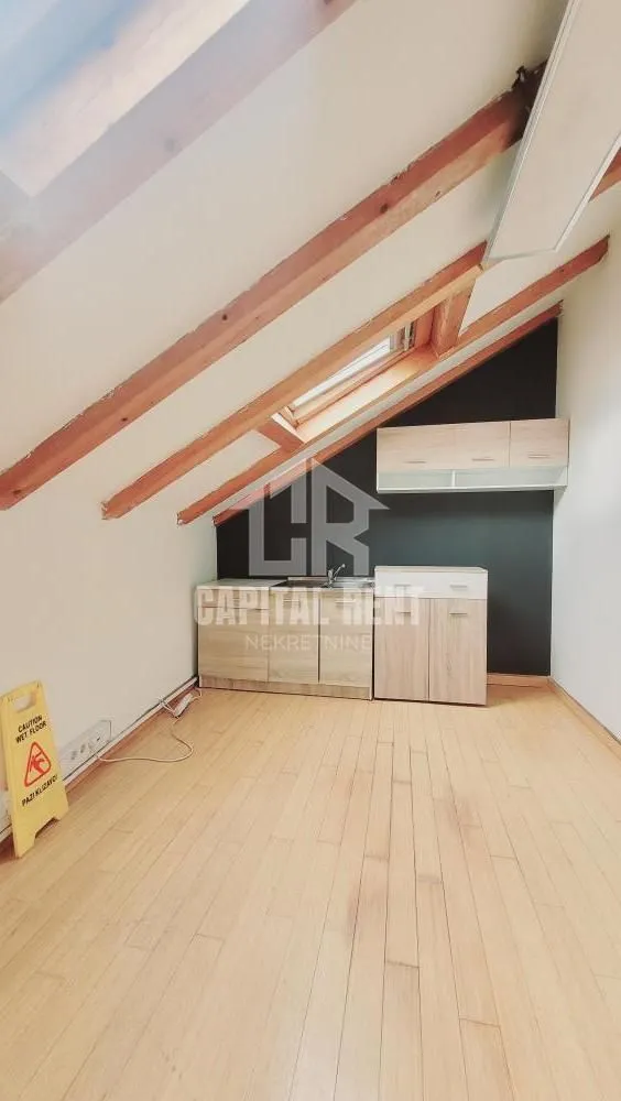 Rent, office space, 540m², Južni Bulevar, Vračar Sve Podlokacije