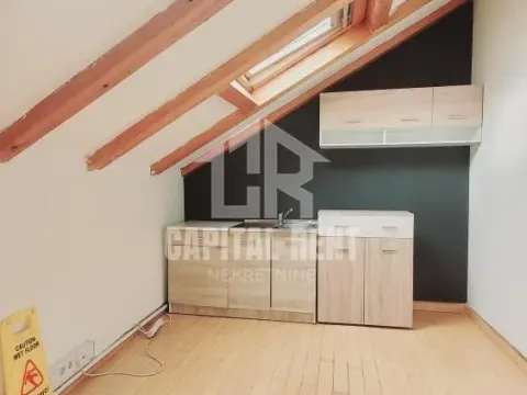 Rent, office space, 540m², Južni Bulevar, Vračar Sve Podlokacije - image 6