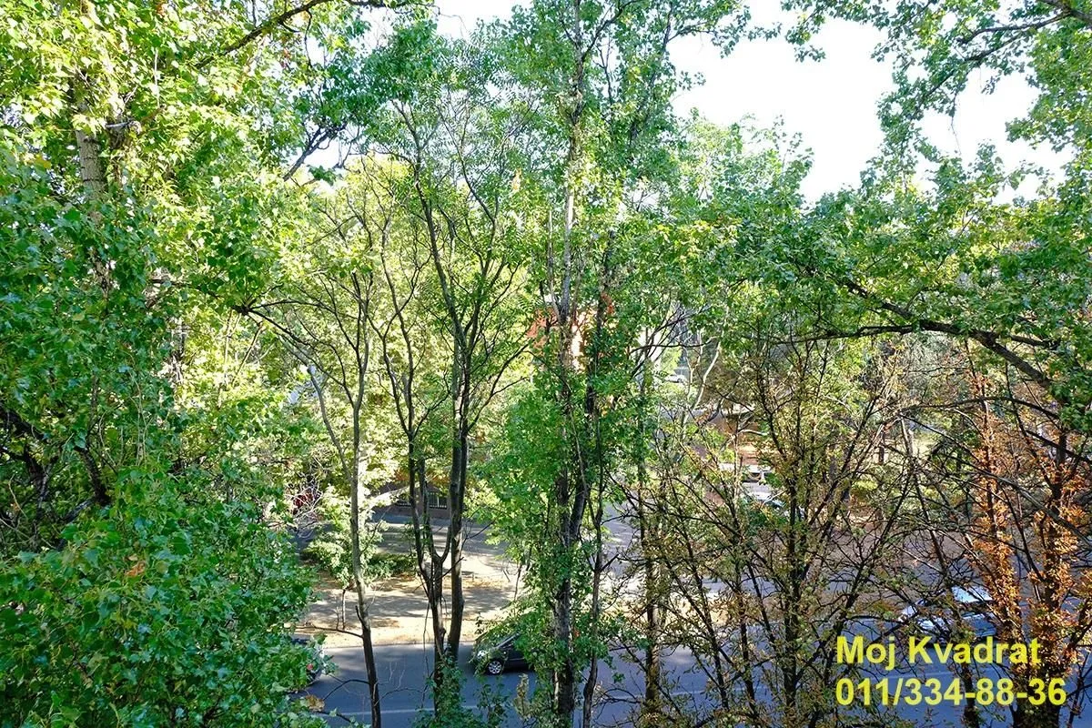 Prodaja, dvosoban stan, 46m², Hala Pionir, Palilula Sve Podlokacije